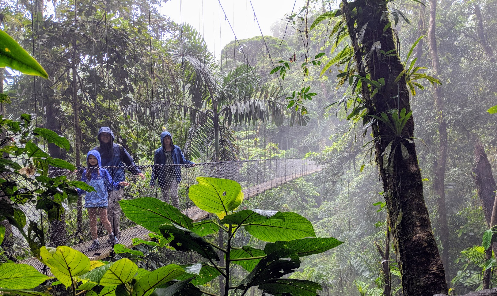 Crossing an hanging bridge